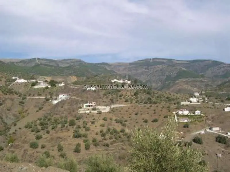 Parcela en Venta Canillas de Albaida 3235m2 Vistas Panoramicas