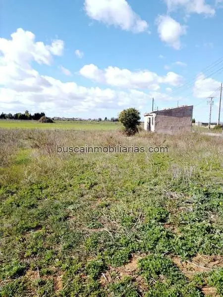 Parcela Rustica en Venta cerca Manacor