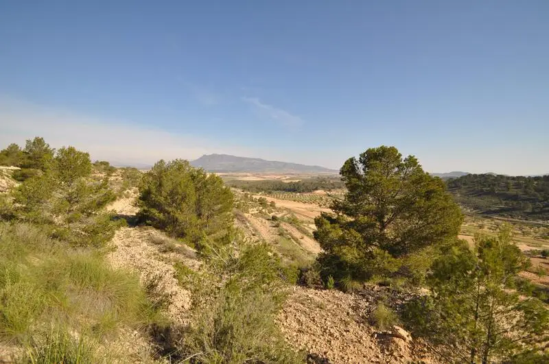 Parcelas en Venta La Zarza Murcia Cerca Parque Nacional