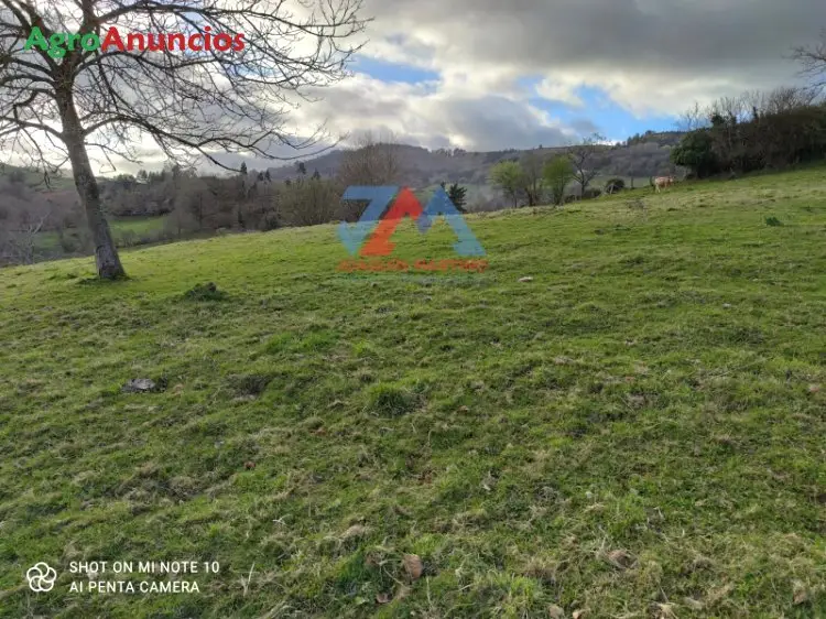 Venta  de Finca parcelable en Asturias