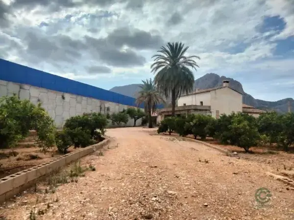 Finca Rustica en Ondara con Casa para Reformar