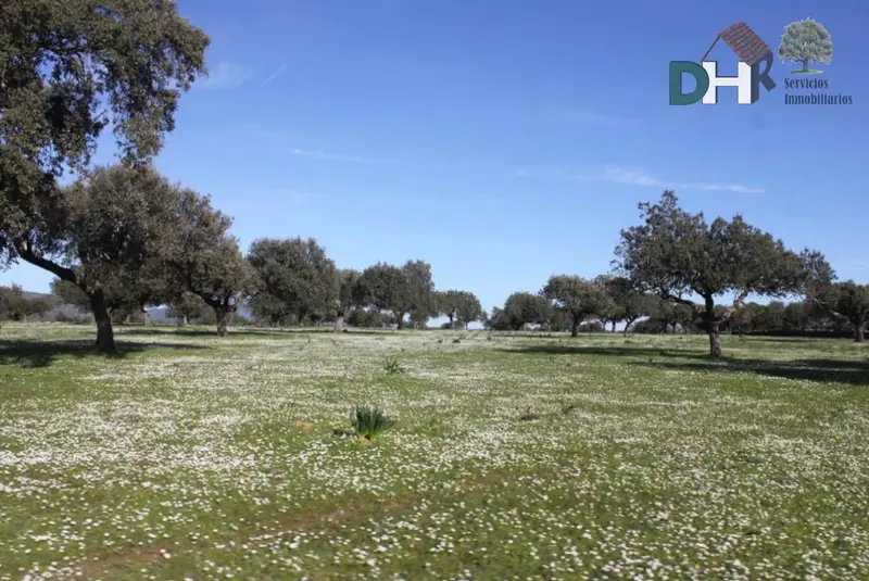 Finca Rustica en Cáceres 200 Hectareas Ganadera