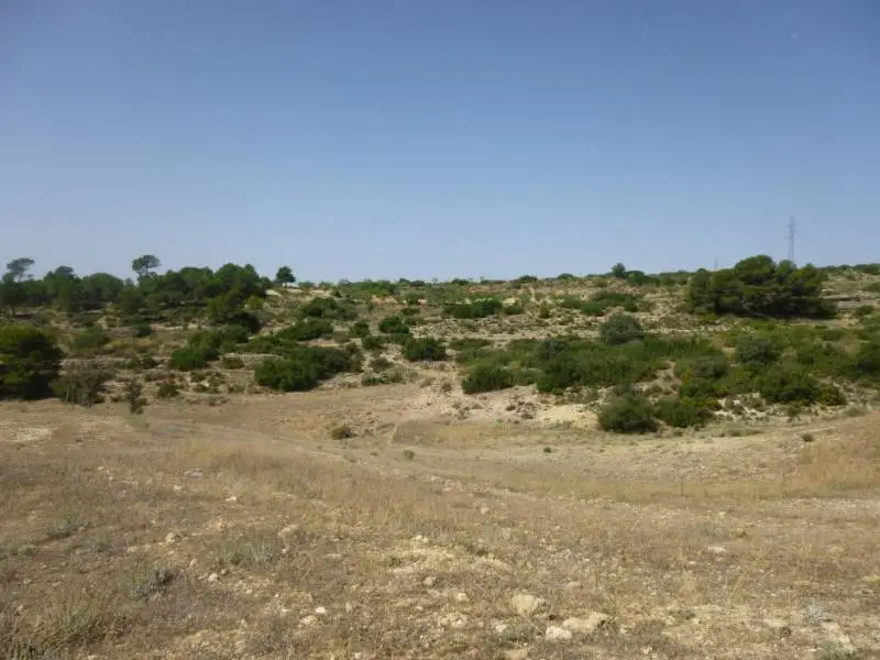 Venta Terreno 11 Hectareas Almansa La Centinela