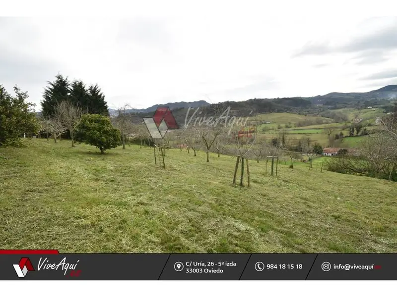 Chalet en Villaviciosa Asturias Parcela 1294m2 para Rehabilitacion o Construccion