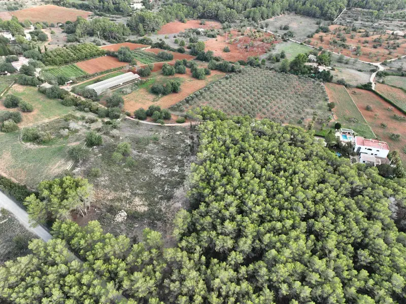 Solar/Parcela en venta en Santa Gertrudis de Fruitera, Santa Eulalia / Santa Eularia, Ibiza