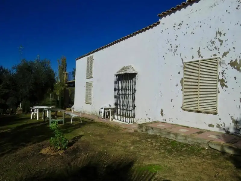Cortijo con 2 hectareas en Marchena Granada