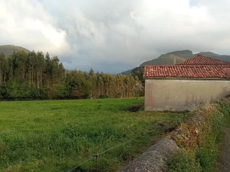 Chalet en Lamuño Asturias con finca de 10000m2