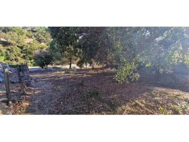 Parcela en Venta Los Pinares Lloret de Mar