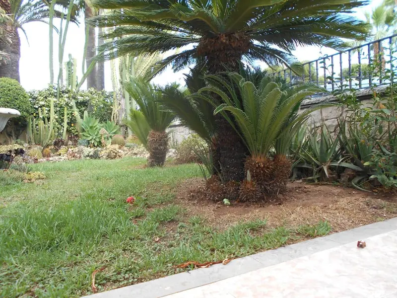Chalet en venta en Burriana Castellon con piscina y jardin