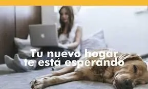 Venta Parcela Cazalla Lorca Gran Oportunidad