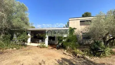 Finca rústica en venta en Calle Burgar