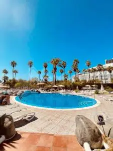 Apartamento Bahia Del Duque 1 Dormitorio Complejo Altamira