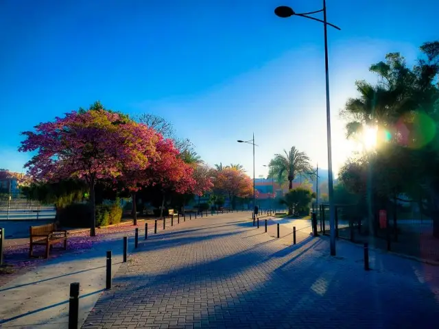 Apartamento 2 Dormitorios Alquiler Murcia Estudiantes