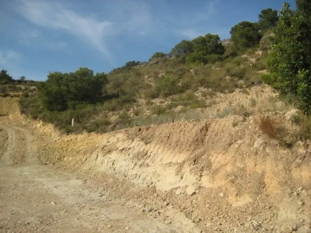 Venta Parcela con Vistas en Pedralba