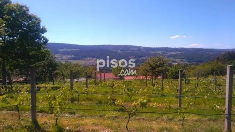 Casa en Venta A Estrada Reforma Piedra Antigua