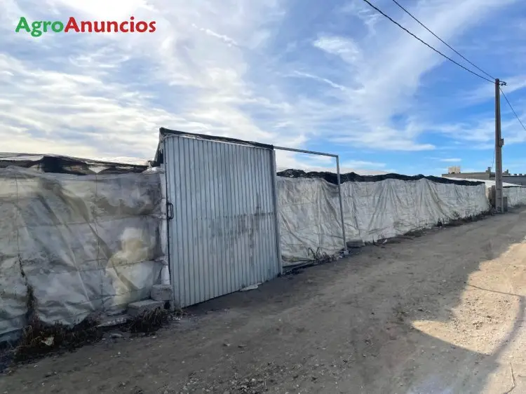 Venta  de Finca con invernaderos en Almería