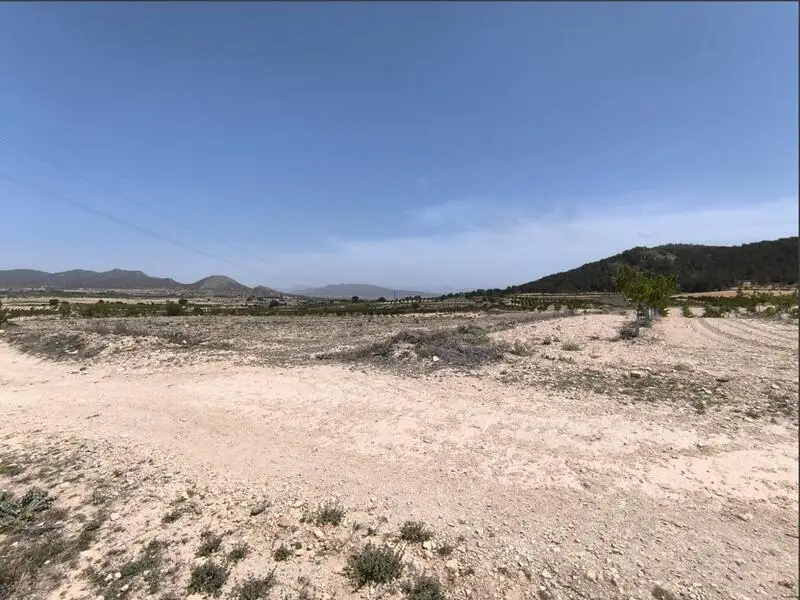 Terrenos en venta
Monóvar, Alicante