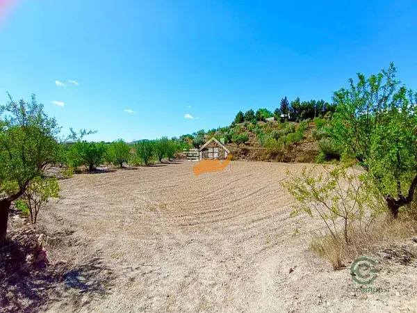 Nave Rustica con terreno en Velez Rubio