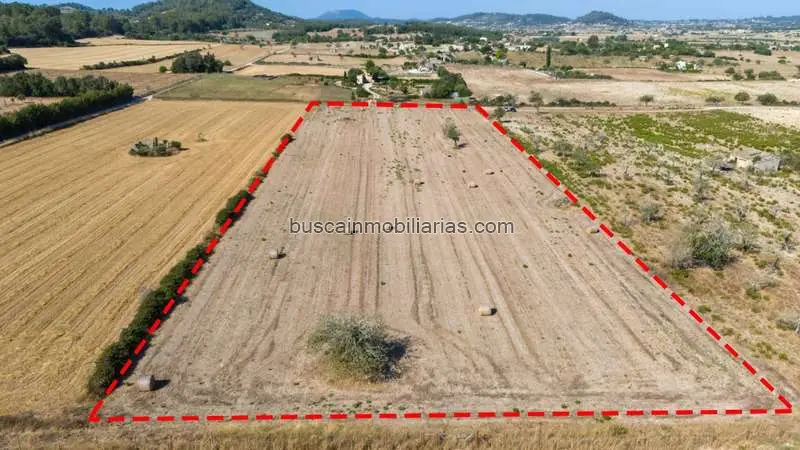 Parcela Rustica Edificable en Mallorca Sineu Petra