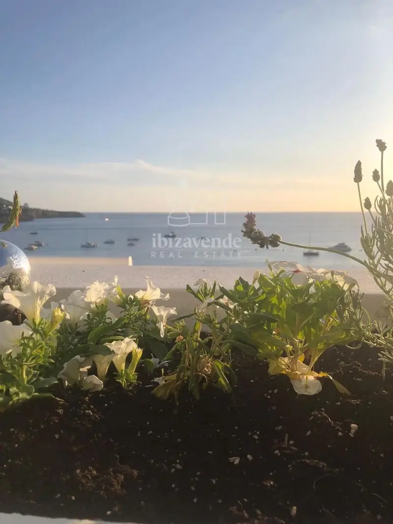 Apartamento en Cala Tarida Ibiza Primera Linea de Playa Vistas al Mar