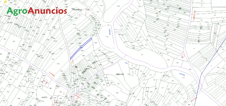 Venta  de Finca rústica en Ourense