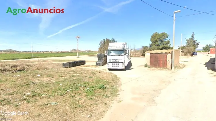 Venta  de Finca agrícola de regadio en nucleo urbano en Murcia