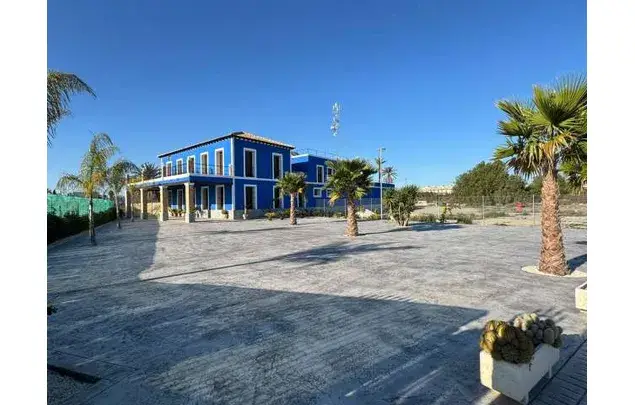 Habitacion 650m2 en alquiler Elche