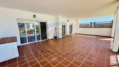 Añoreta Bajo Gran Terraza Cerca del Mar