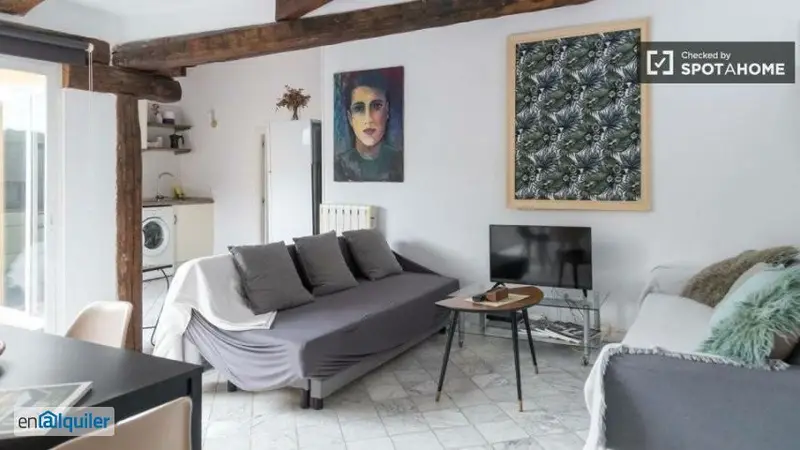 Apartamento 1 Dormitorio Alquiler Madrid Calle Estudios
