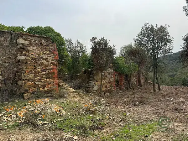 Masia en Cruilles Girona 28 hectáreas
