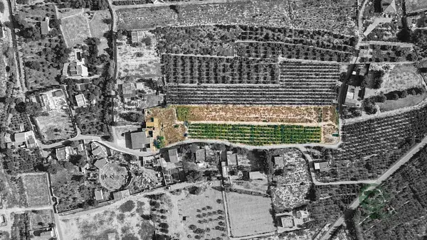 Finca Rústica Crevillent 11000m² 3 Dormitorios Cerca de la Playa