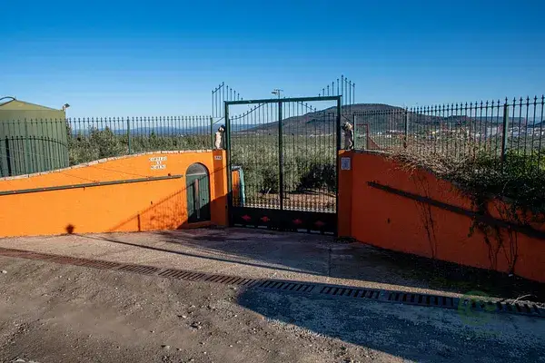 Finca de Lujo en Jaén con Olivar y Viñedo
