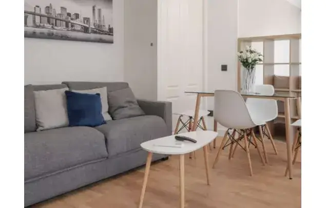 Estudio 37m² Madrid Puerta del Ángel Amueblado Mascotas