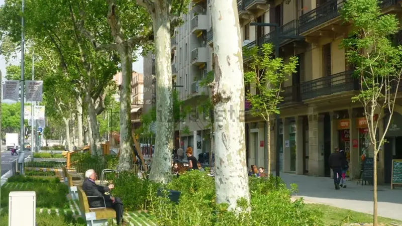 Piso en venta en Passeig Sant Joan Barcelona 210m2 5 habitaciones