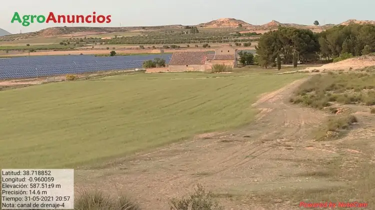 Alquiler  de Terreno de regadío en Albacete