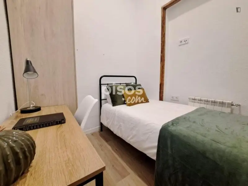 Habitacion en Alquiler Malasa	ña Madrid Centro Estudiantes Profesionales