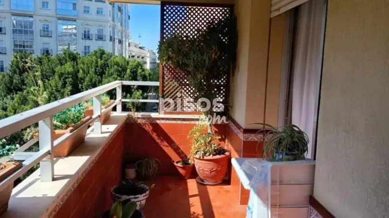 Piso en venta en Plaza del Caballo Jerez