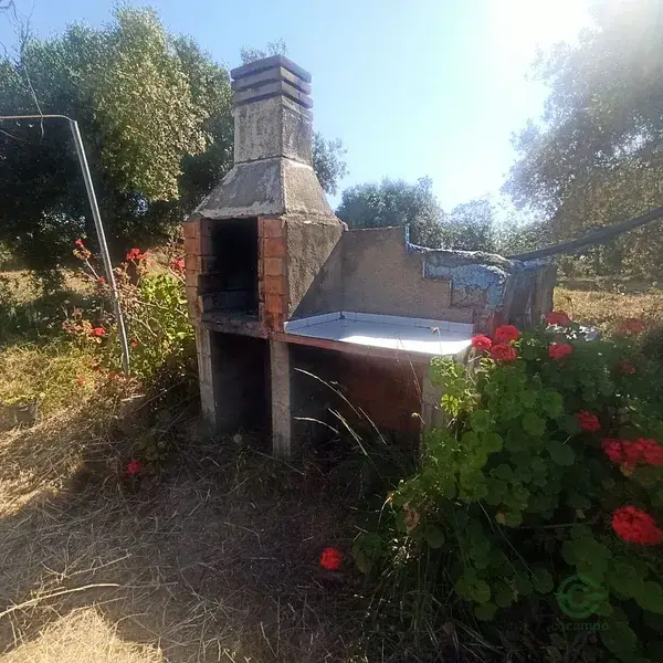 Finca Rustica en Tarragona con Olivos y Arboles Frutales