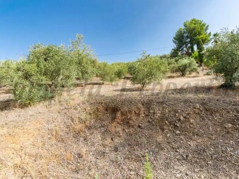 Terrenos en Venta Canillas de Albaida 1039m2