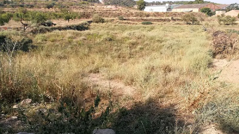 Venta Finca Castelldans - Ref 212