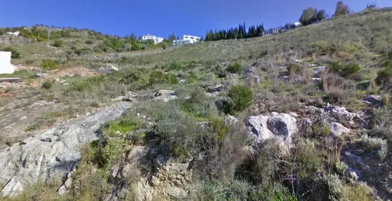 Terreno con Olivos en Frigiliana