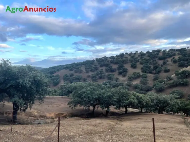 Venta  de Finca rústica en Sevilla