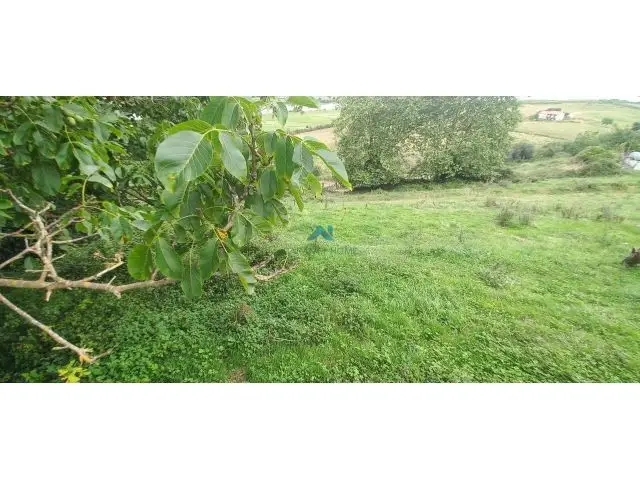 Terreno Rustico en Colindres 3343m2 Prado 1374m2 Eucaliptos