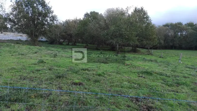 Venta Finca Rustica Pereiro de Aguiar 3368m2