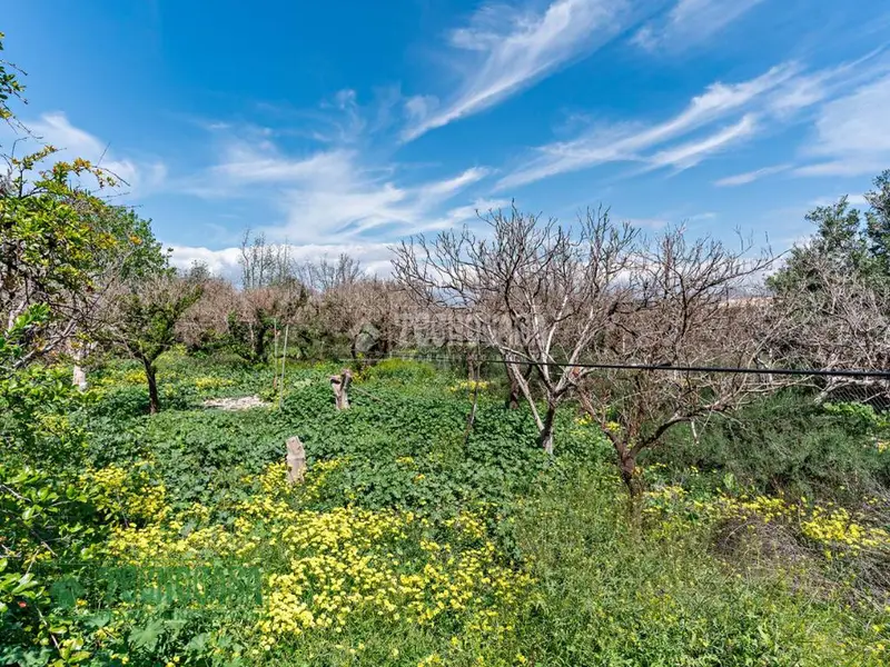 Terreno en Venta en Pechina 960m2 con Almacén