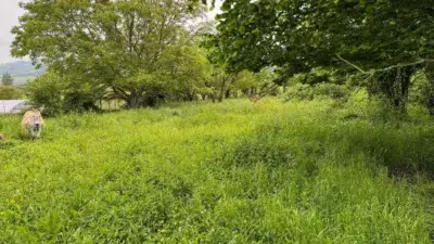 Casa Rustica en Venta Amurrio Araba Reforma Integral