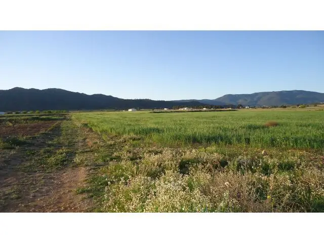 Finca Rustica en Venta Yecla Murcia