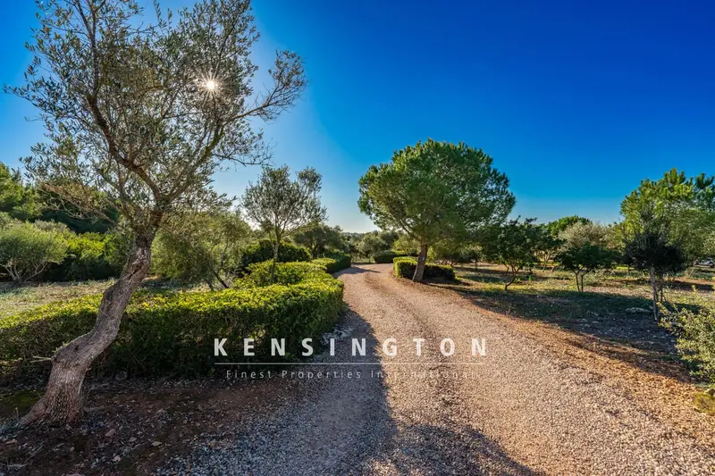 Finca/Casa Rural en venta en Manacor, Mallorca