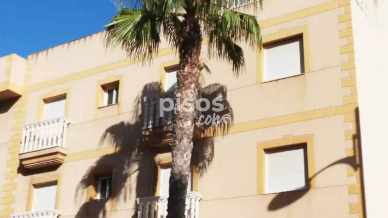 Casa adosada en venta en Avenida Sabinar
