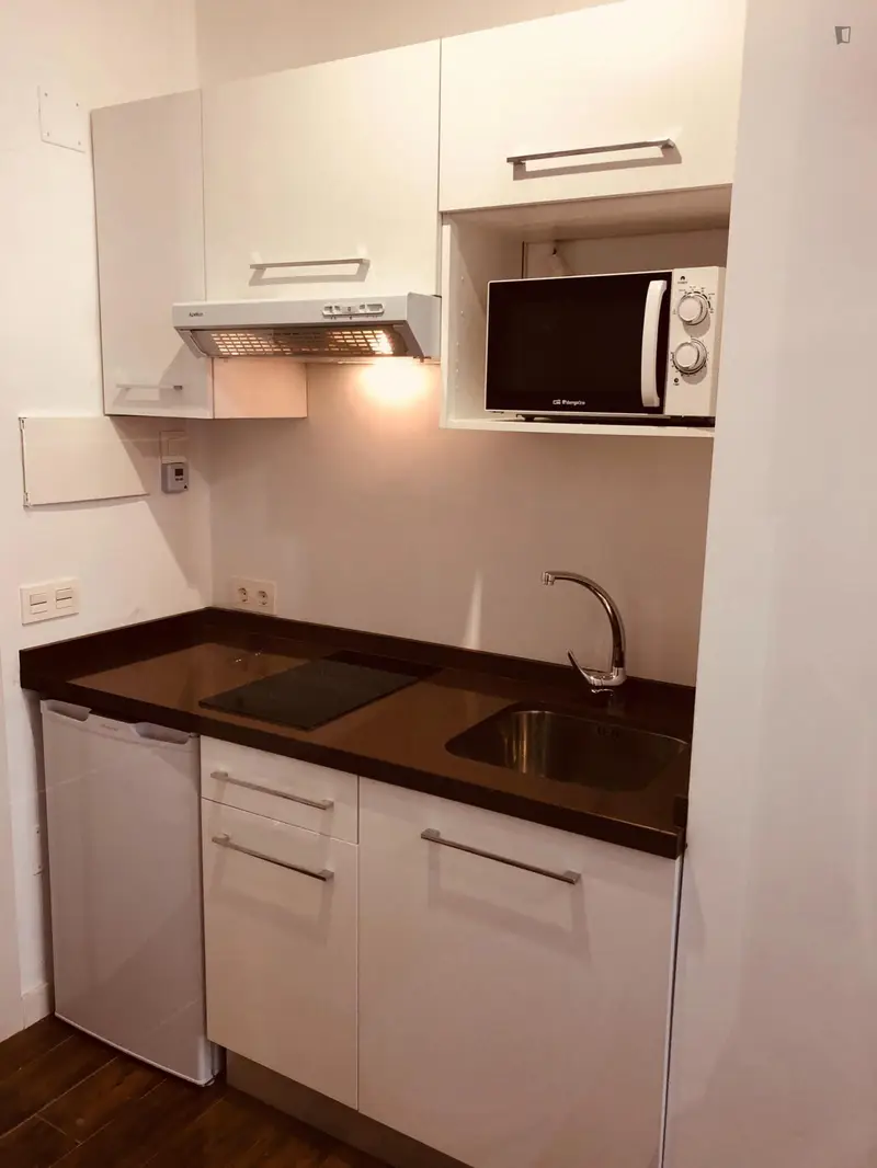 Estudio Planta Baja con Lavanderia y Limpieza Semanal